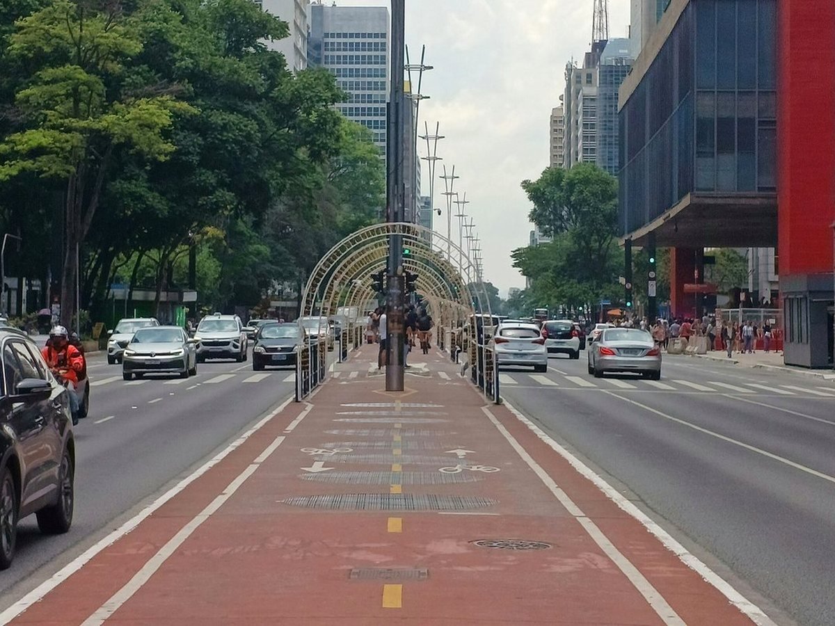 Ciclovia da Avenida Paulista, São Paulo